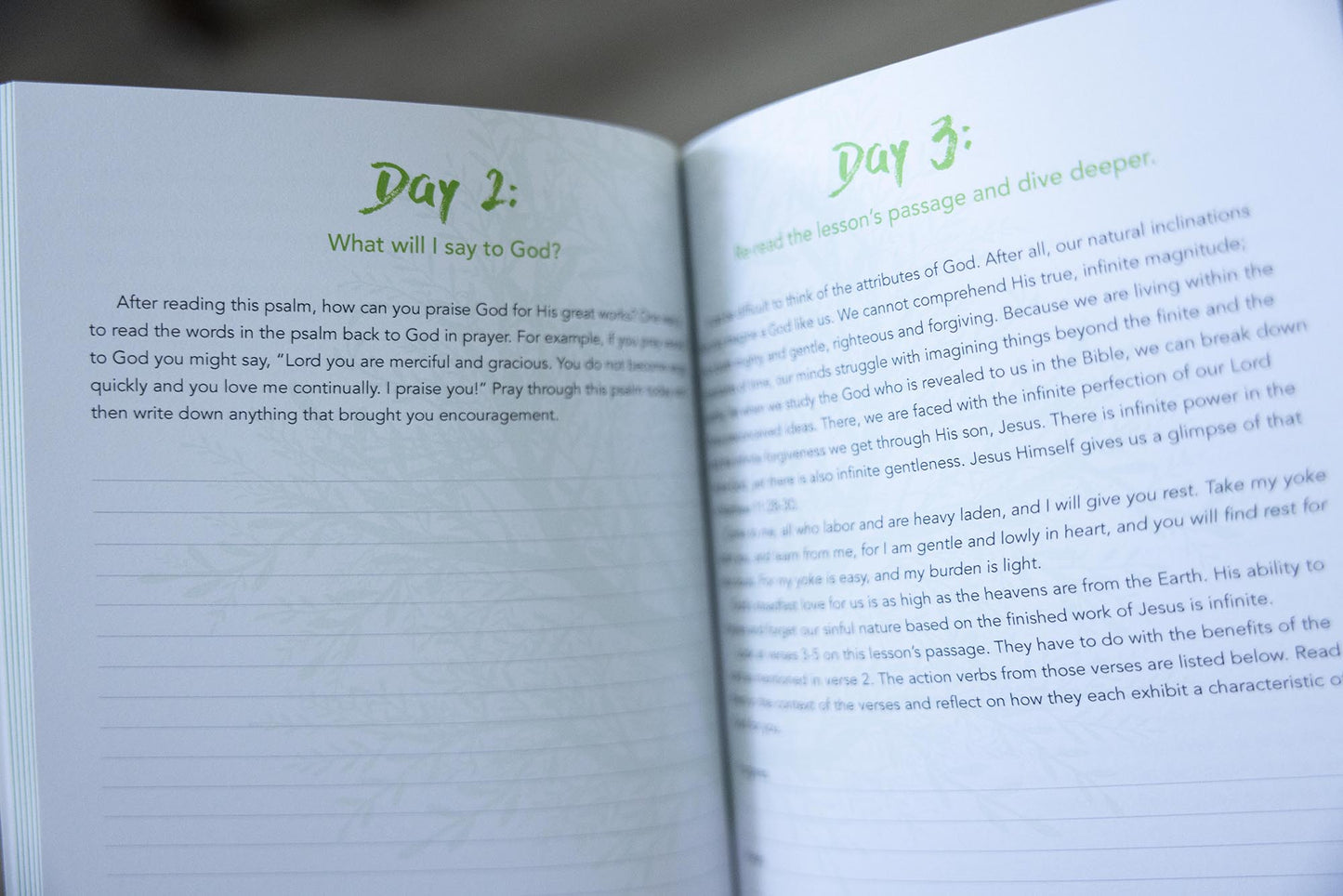 Nature Truths: 12-Week Devotional Study
