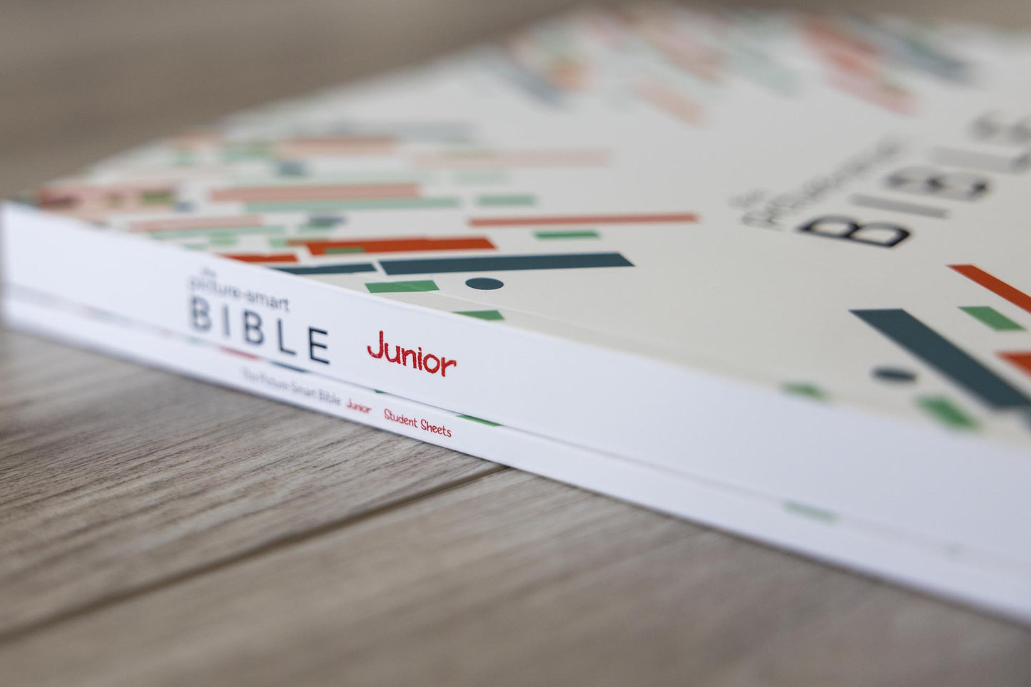 Picture Smart Bible Jr - Starter Pack